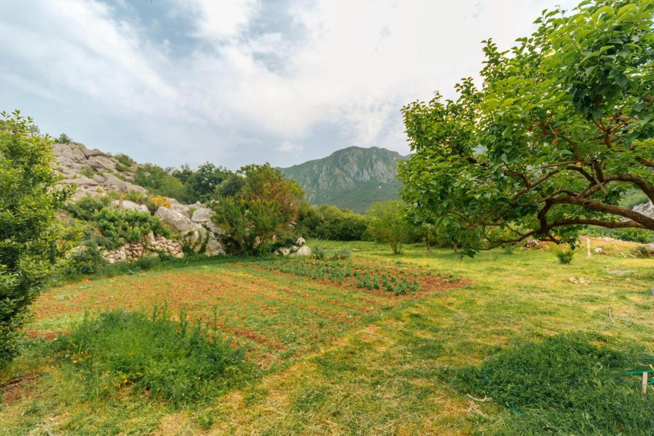 Apartments Econature Virpazar Exterior foto