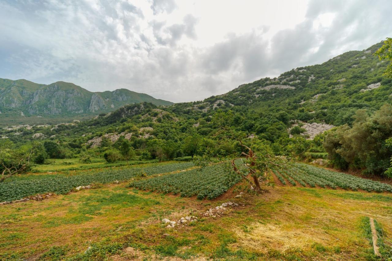 Apartments Econature Virpazar Exterior foto